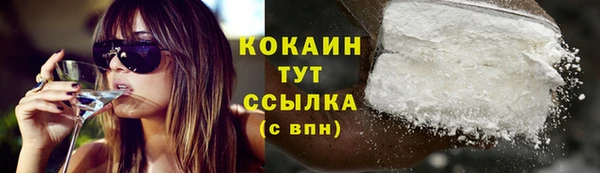 PSILOCYBIN Снежинск
