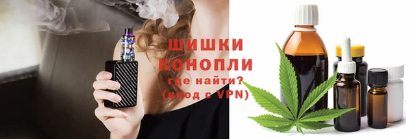 PSILOCYBIN Снежинск