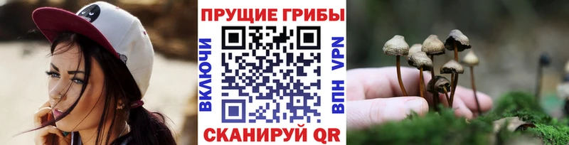 Галлюциногенные грибы ЛСД Баксан